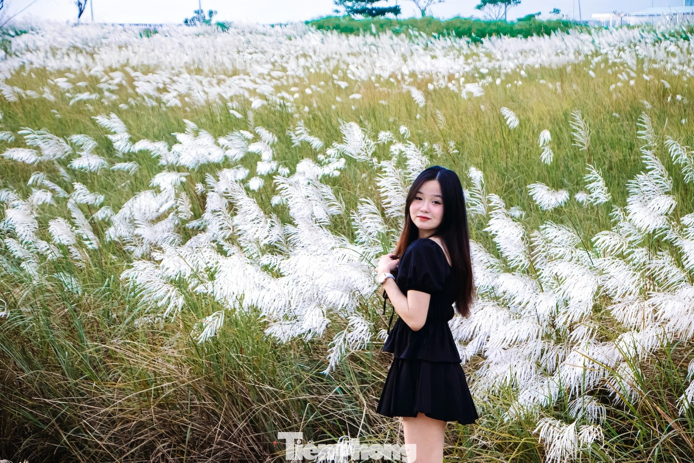 Co lau Da Nang anh 4