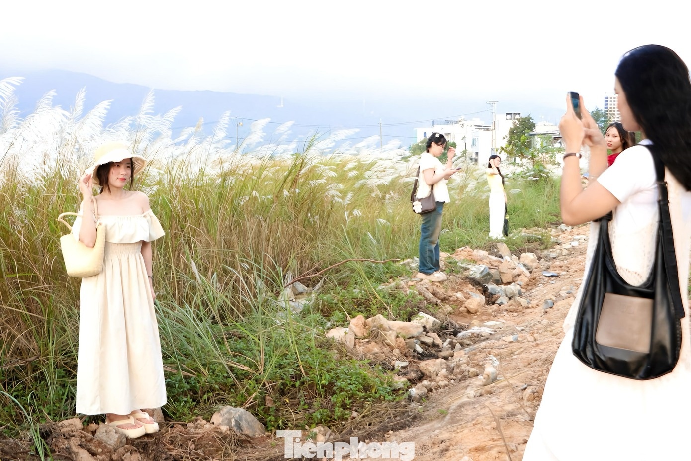 Co lau Da Nang anh 5