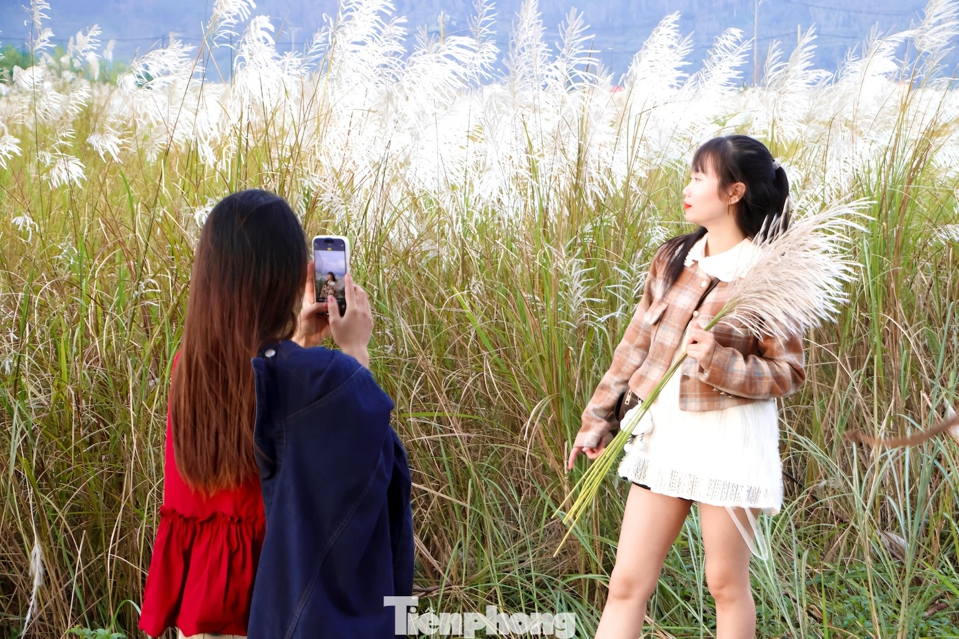 Co lau Da Nang anh 6