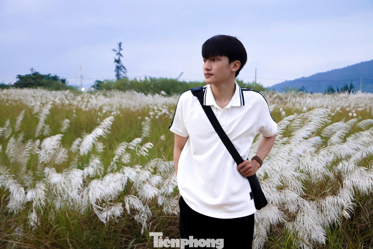 Co lau Da Nang anh 7