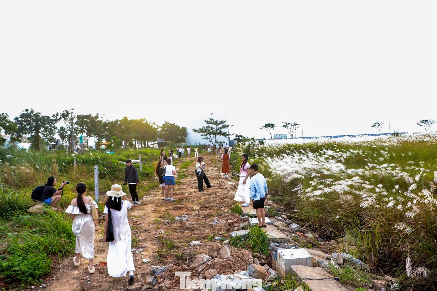 Co lau Da Nang anh 3