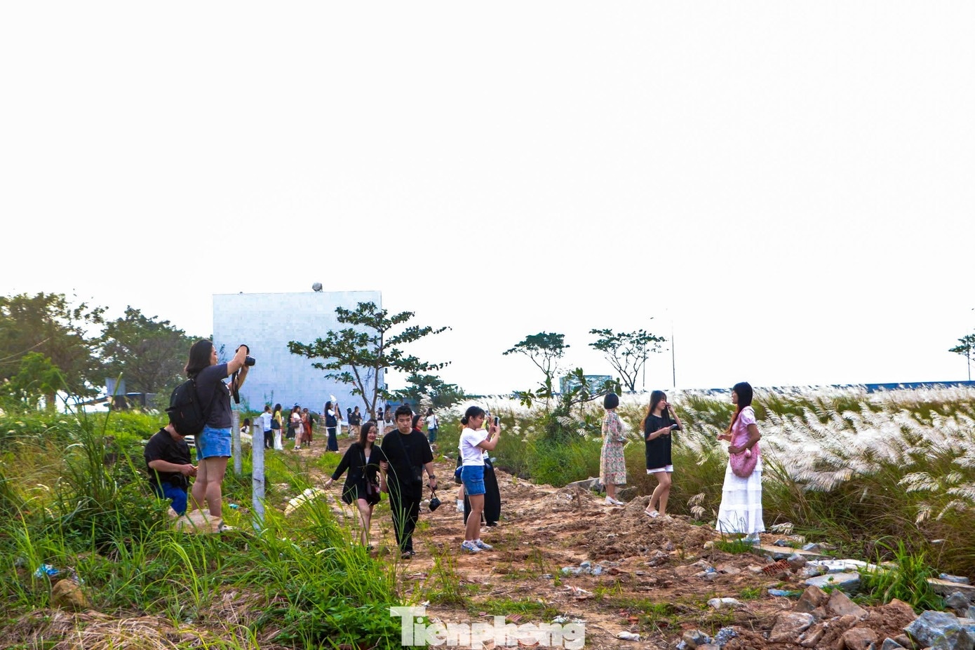 Co lau Da Nang anh 13