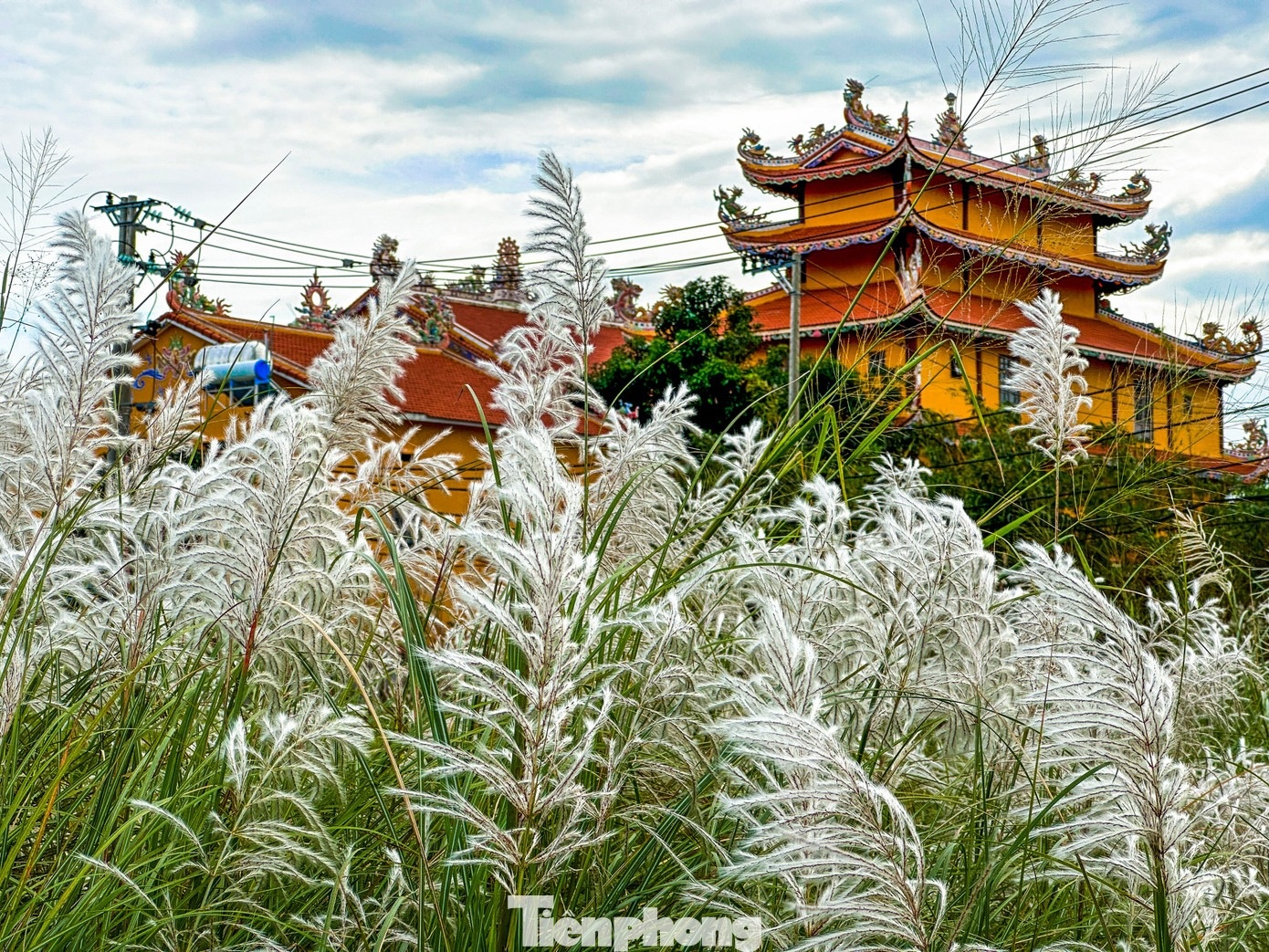 Co lau Da Nang anh 2