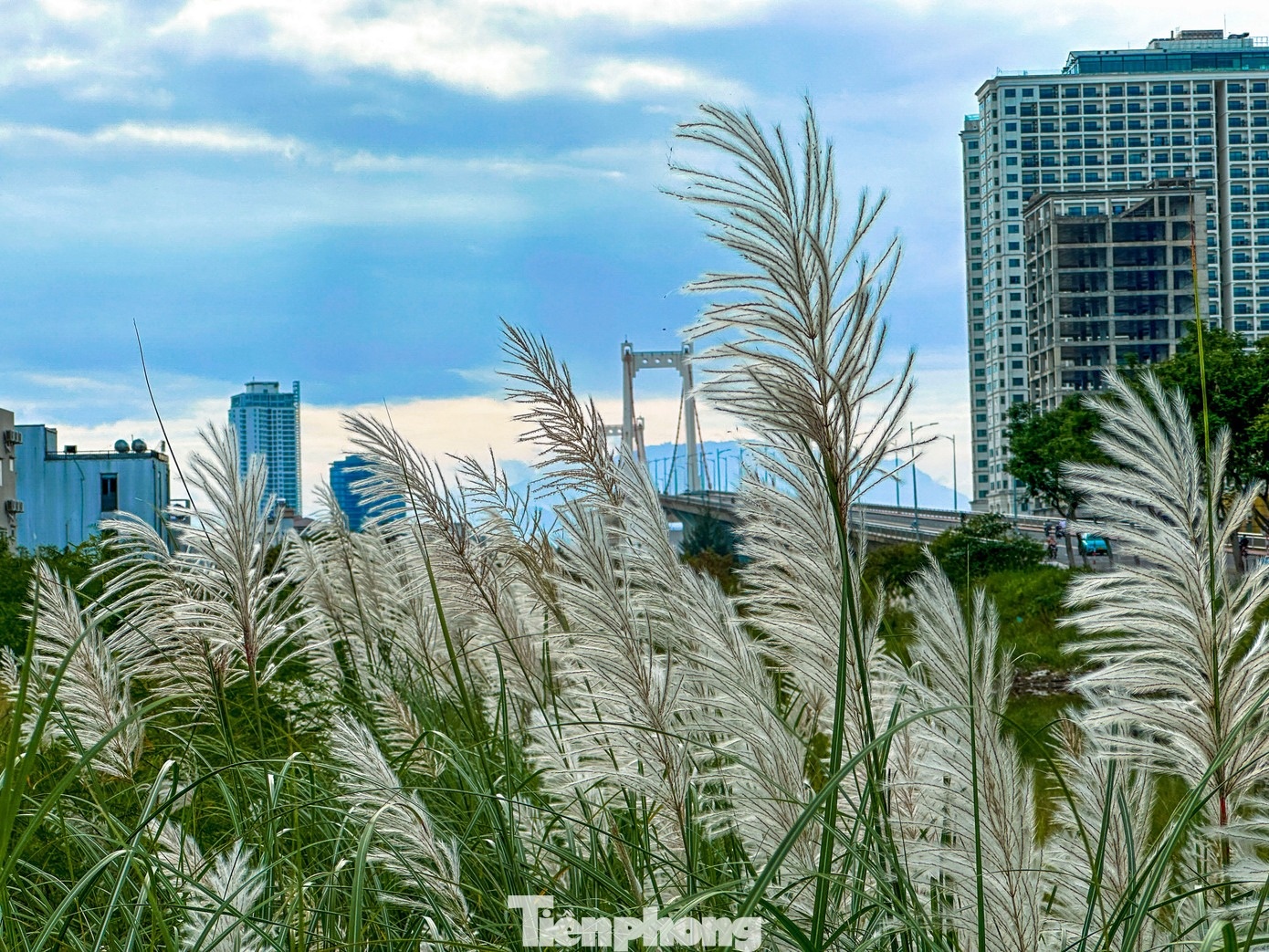 Co lau Da Nang anh 10