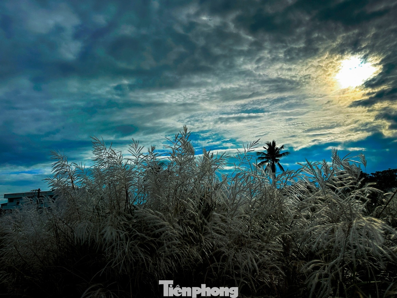 Co lau Da Nang anh 15