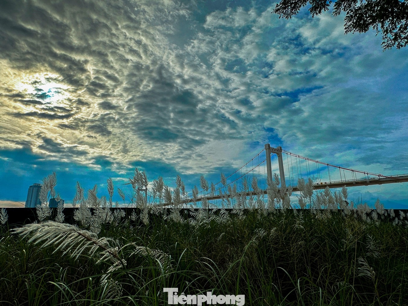 Co lau Da Nang anh 14