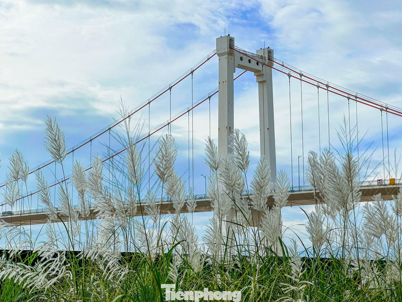 Co lau Da Nang anh 9