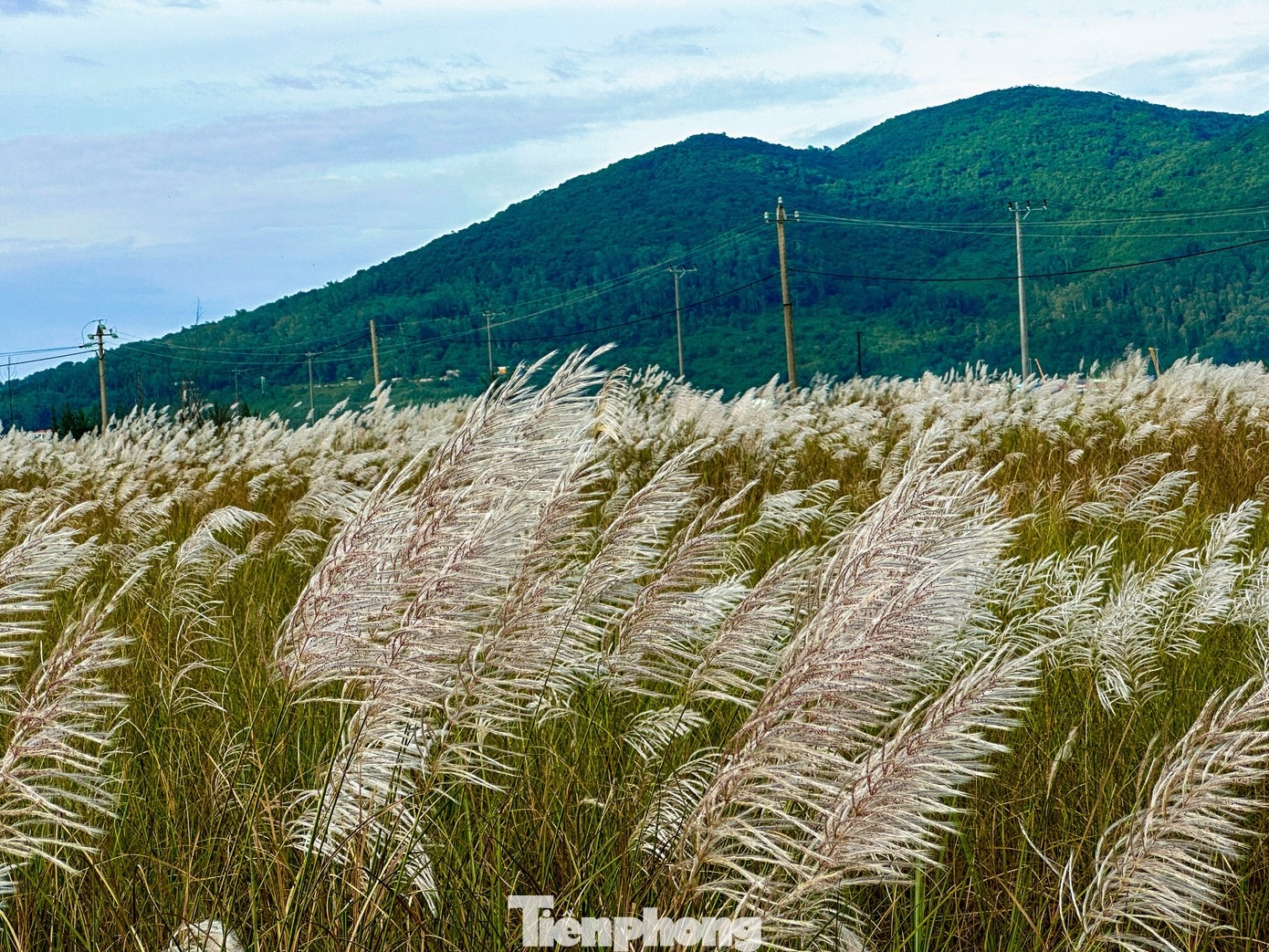 Co lau Da Nang anh 1