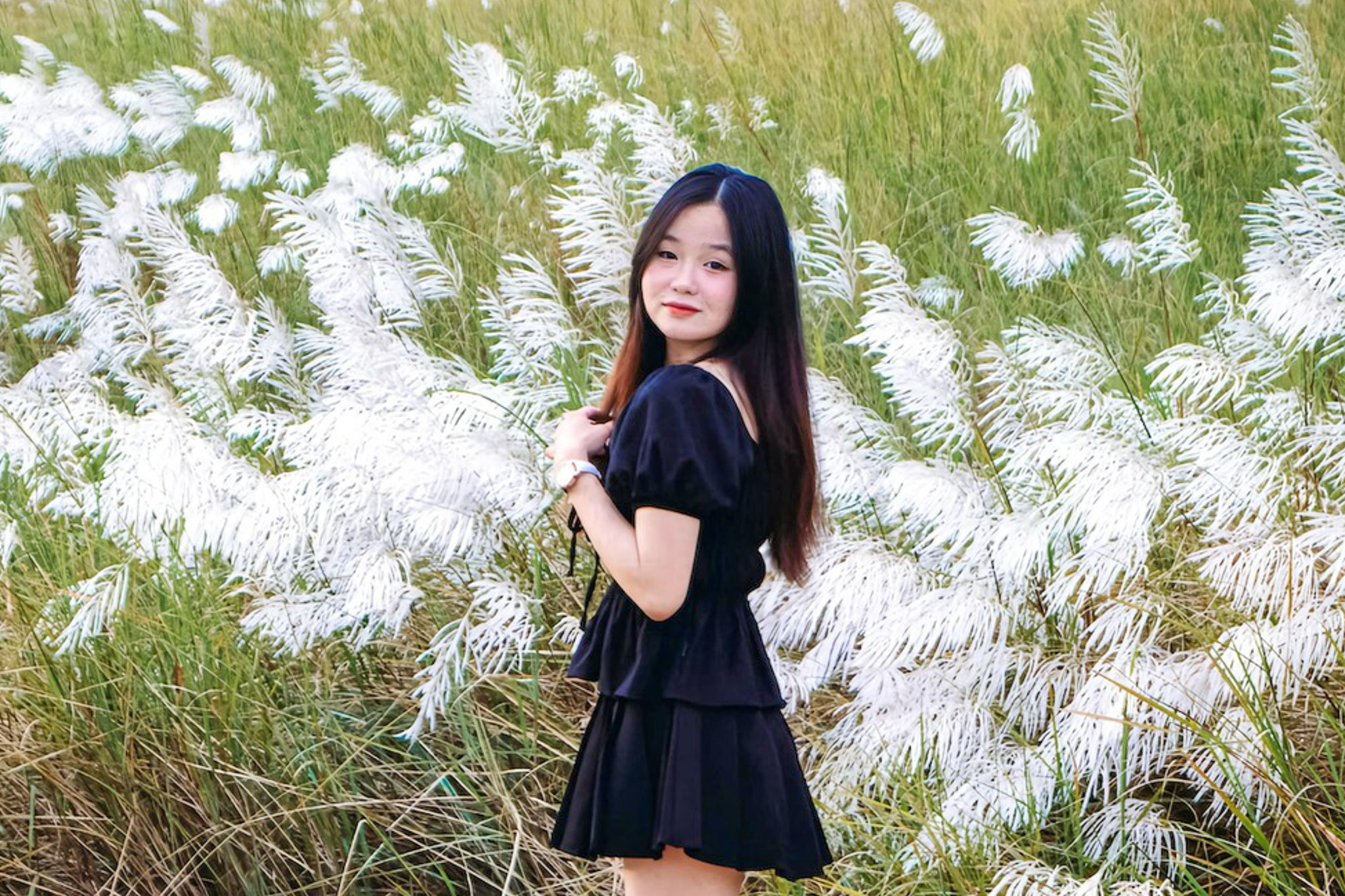 Check-in canh dong lau trang muot o Da Nang hinh anh