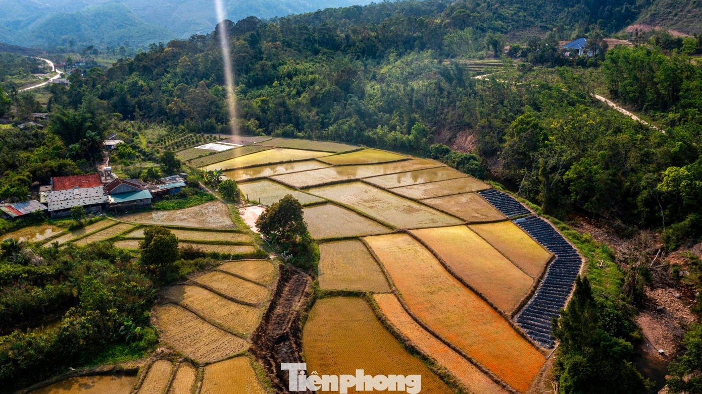 Foto 4 de Ky Thuong Ky Thuong anh 4