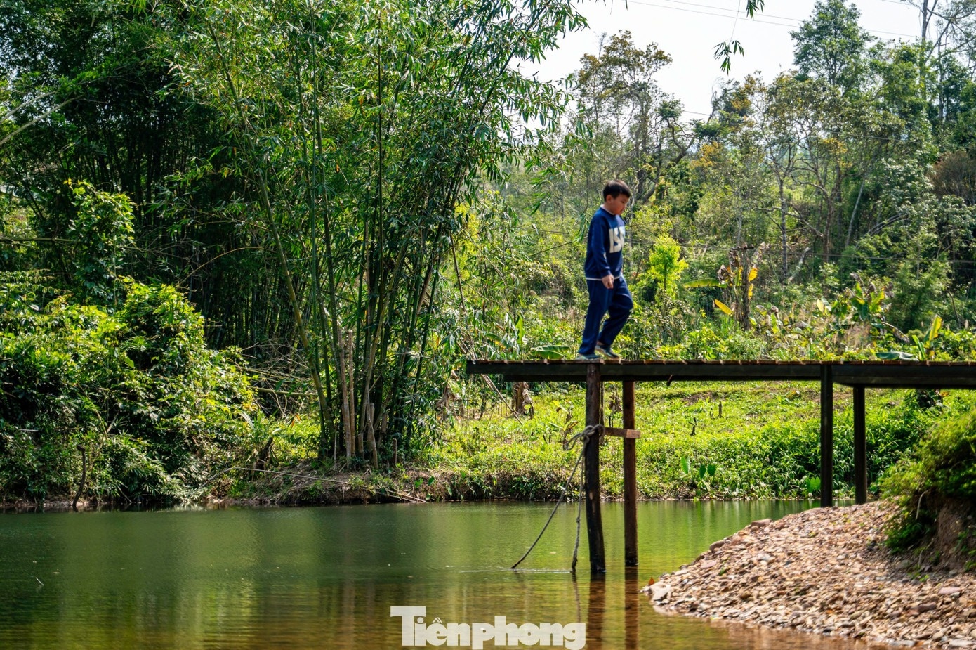 Foto 9 de Ky Thuong Ky Thuong anh 9