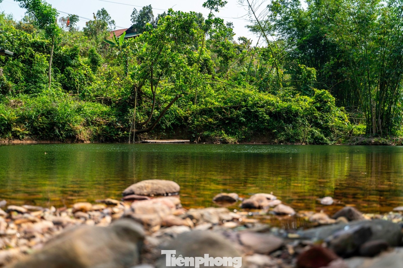 Foto 7 de Ky Thuong Ky Thuong anh 7