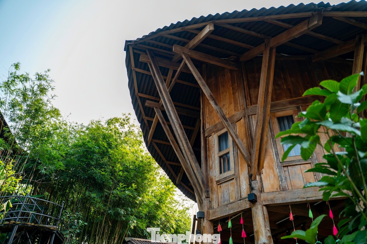 Foto 2 de Ky Thuong Ky Thuong anh 2