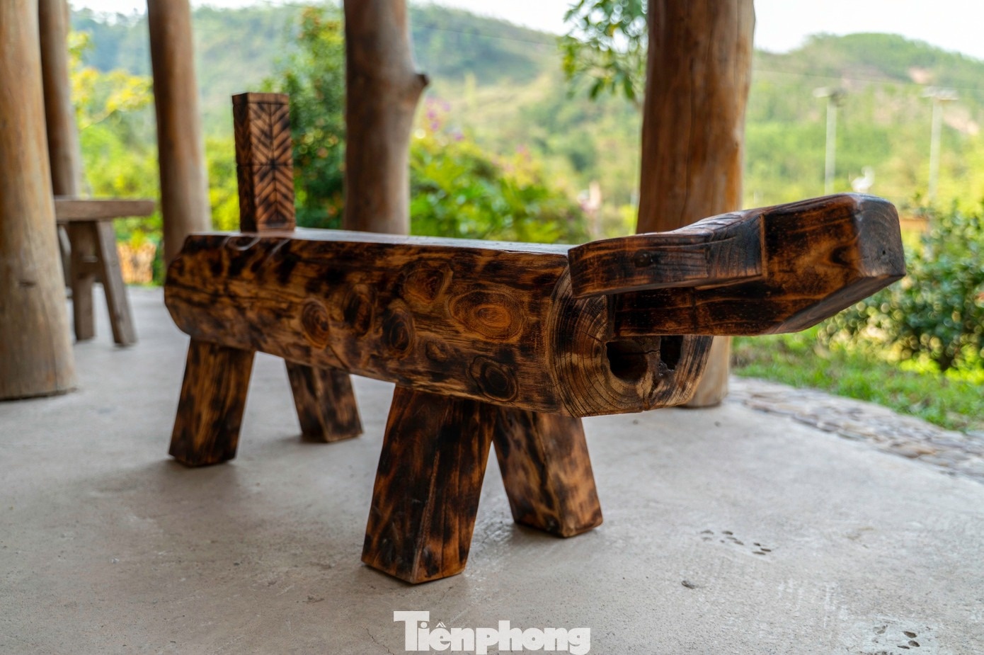 Foto 14 Ky Thuong anh 14