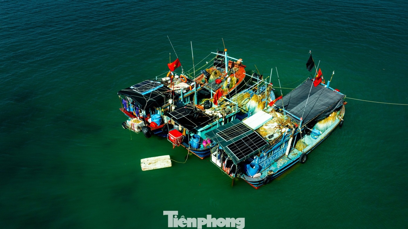 Đảo Trần Cô Tô ảnh 12 Dao Tran Co To anh 12