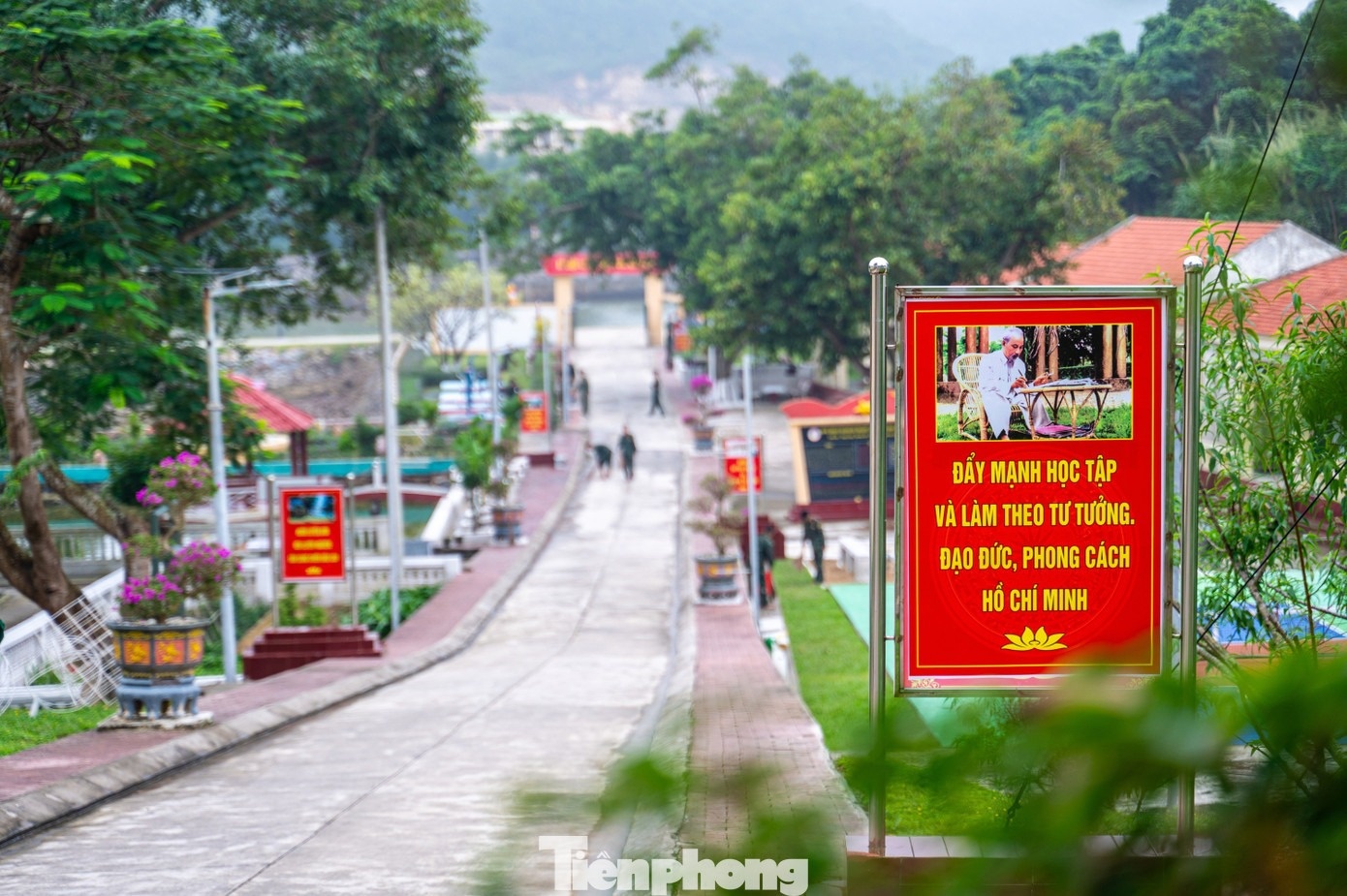 Đảo Trần Cô Tô ảnh 15 Dao Tran Co To anh 15