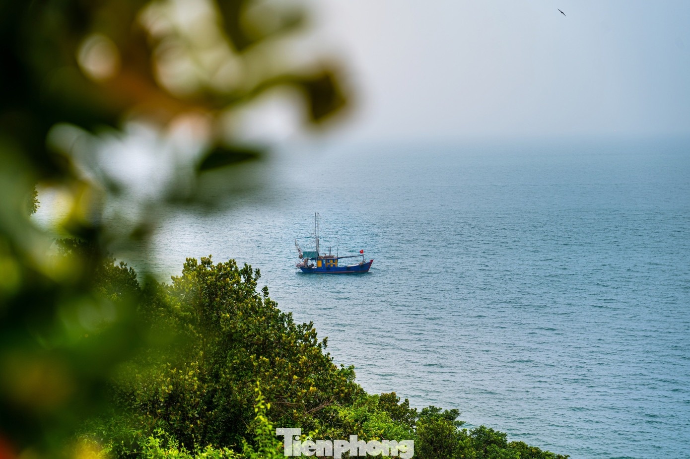 Đảo Trần Cô Tô ảnh 13 Dao Tran Co To anh 13