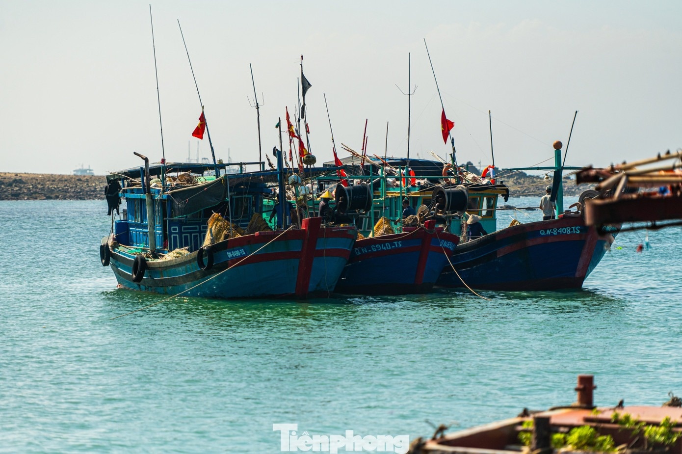 Đảo Trần Cô Tô ảnh 9 Dao Tran Co To anh 9