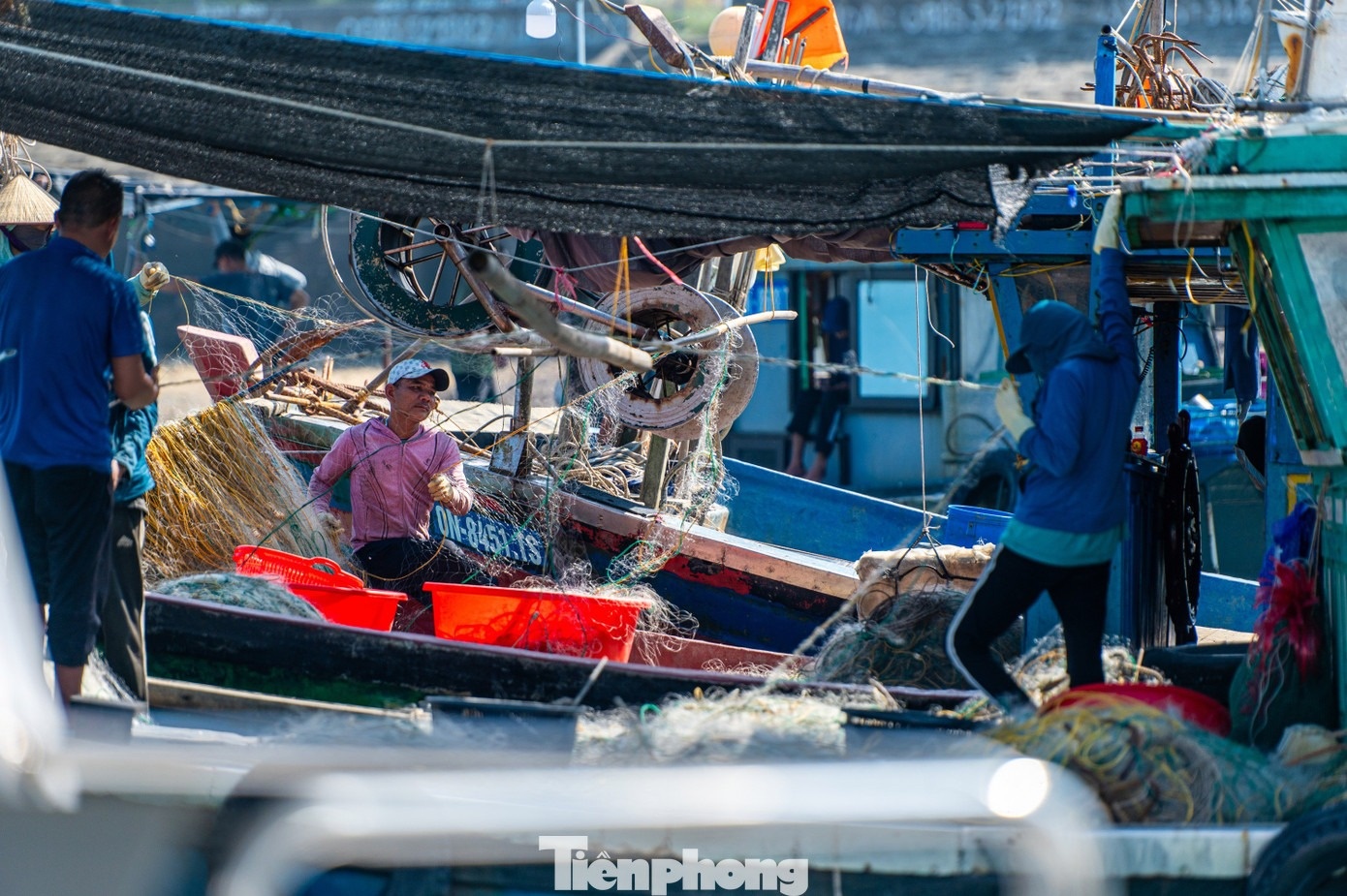 Đảo Trần Cô Tô ảnh 11 Dao Tran Co To anh 11