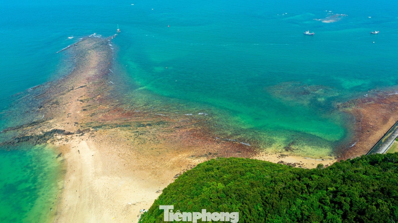 Đảo Trần Cô Tô ảnh 7 Dao Tran Co To anh 7