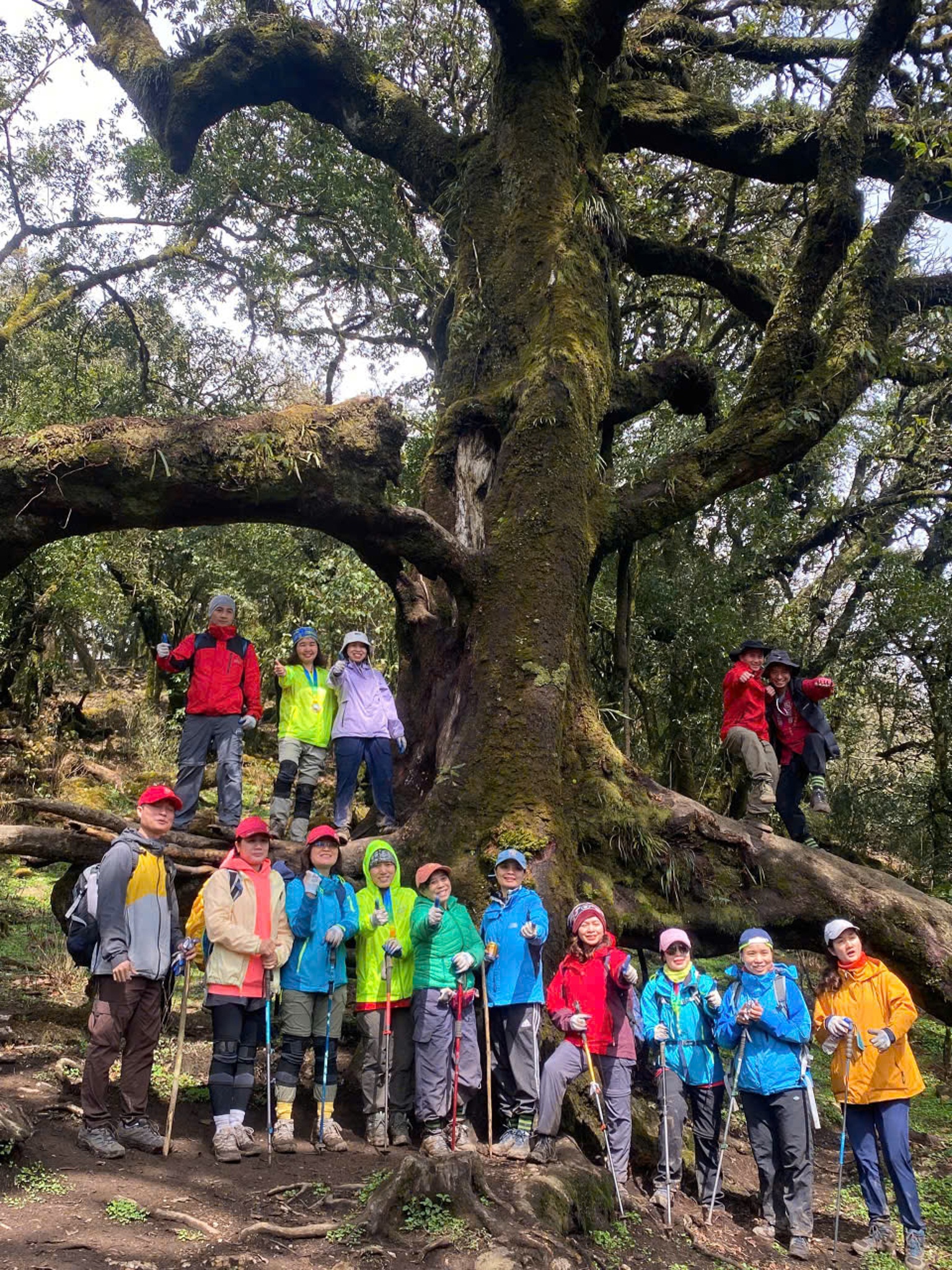 Mua leo nui Tay Bac anh 5