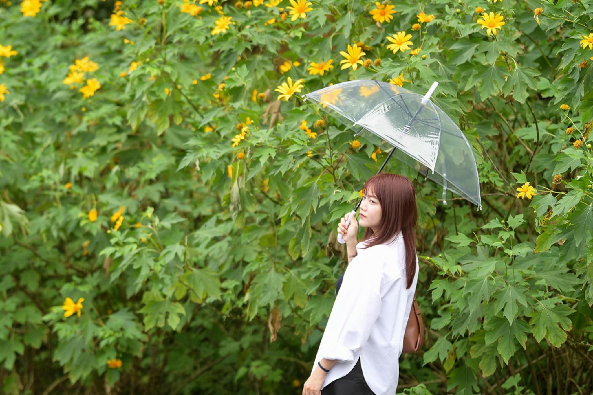 Ba Vi sau ngay 'vo tran' hinh anh