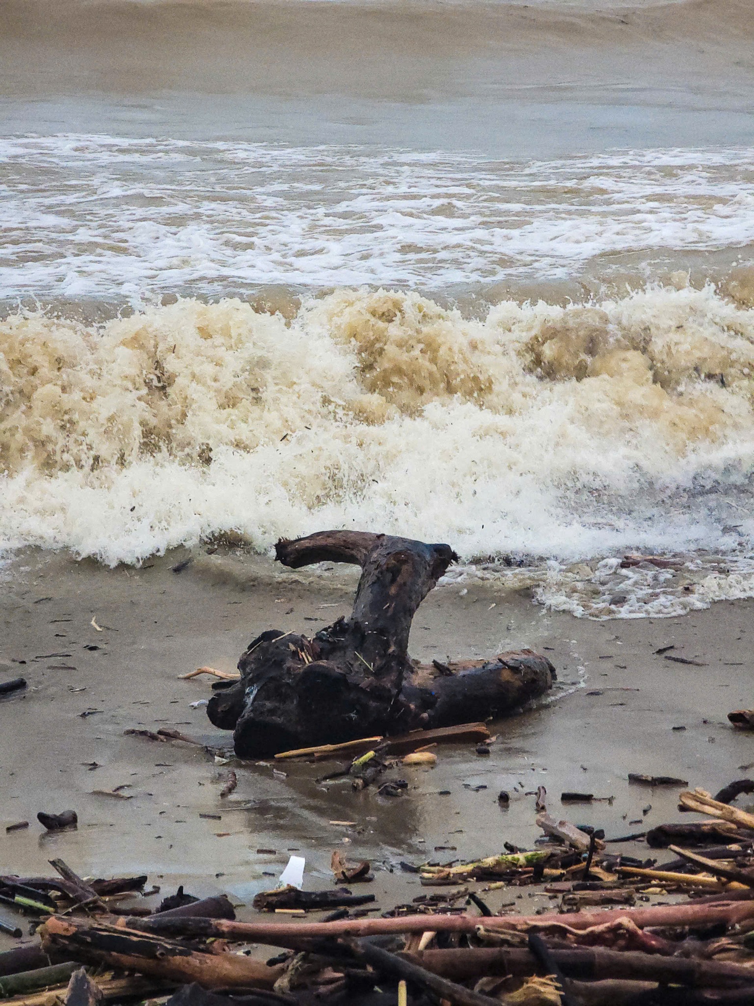 Biển Nha Trang sau lũ ảnh 6 Bien Nha Trang sau lu anh 6