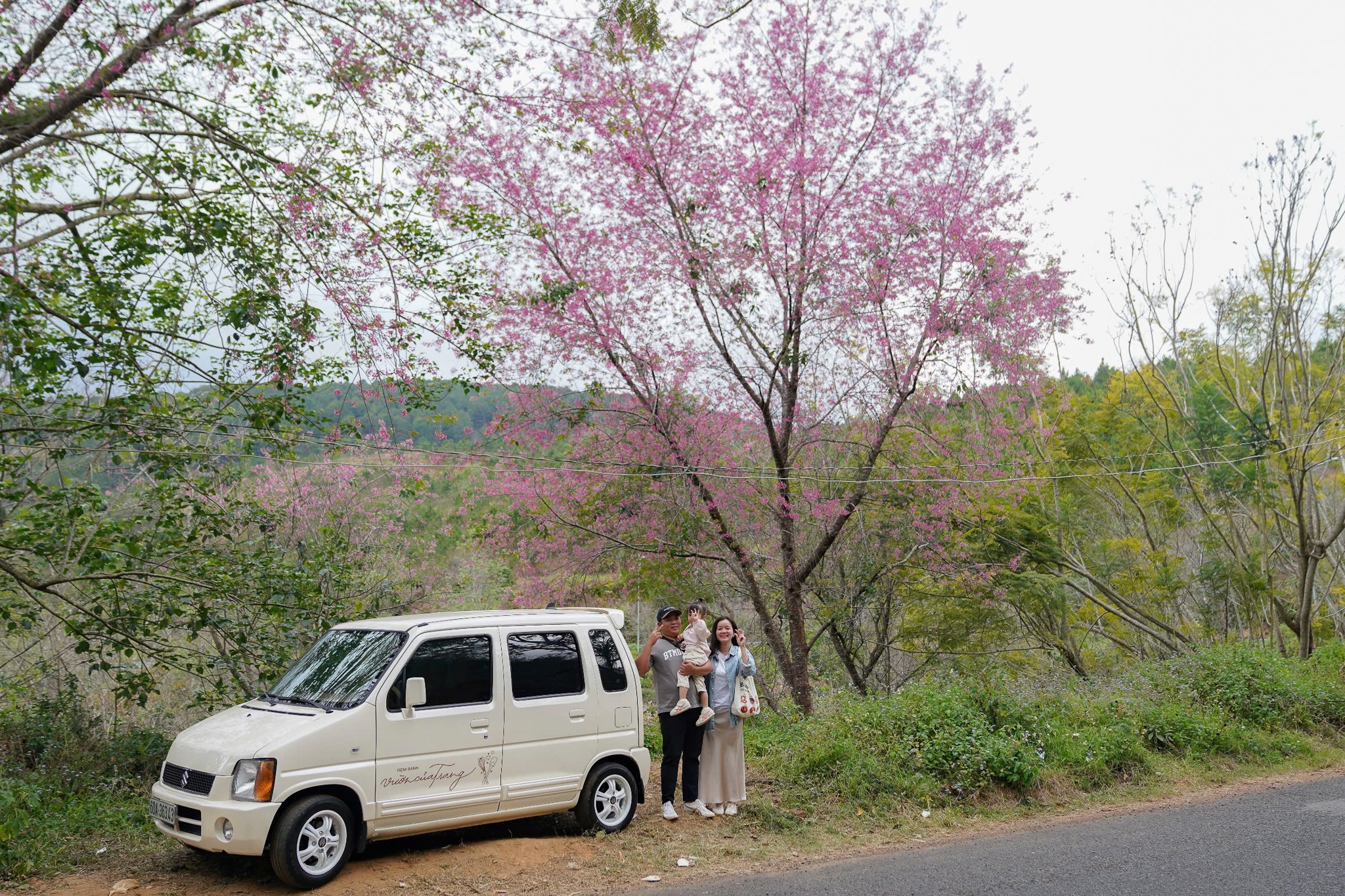 Du lich Da Lat the nao khi san bay Lien Khuong dong cua? hinh anh