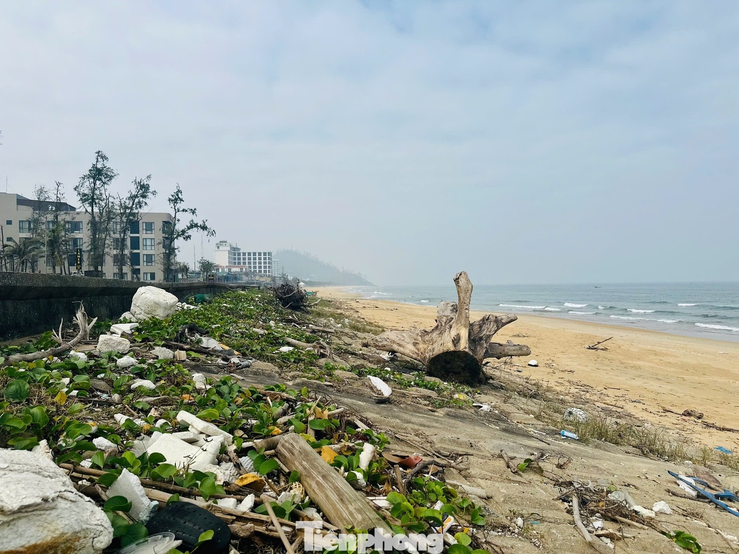 Bien Thien Cam anh 10