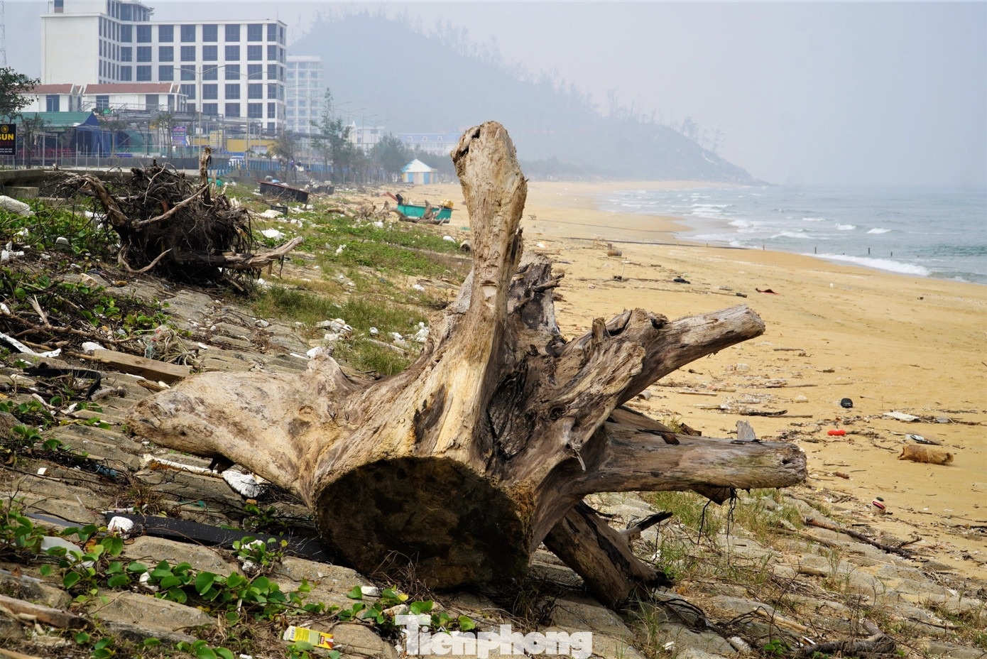 Bien Thien Cam anh 8