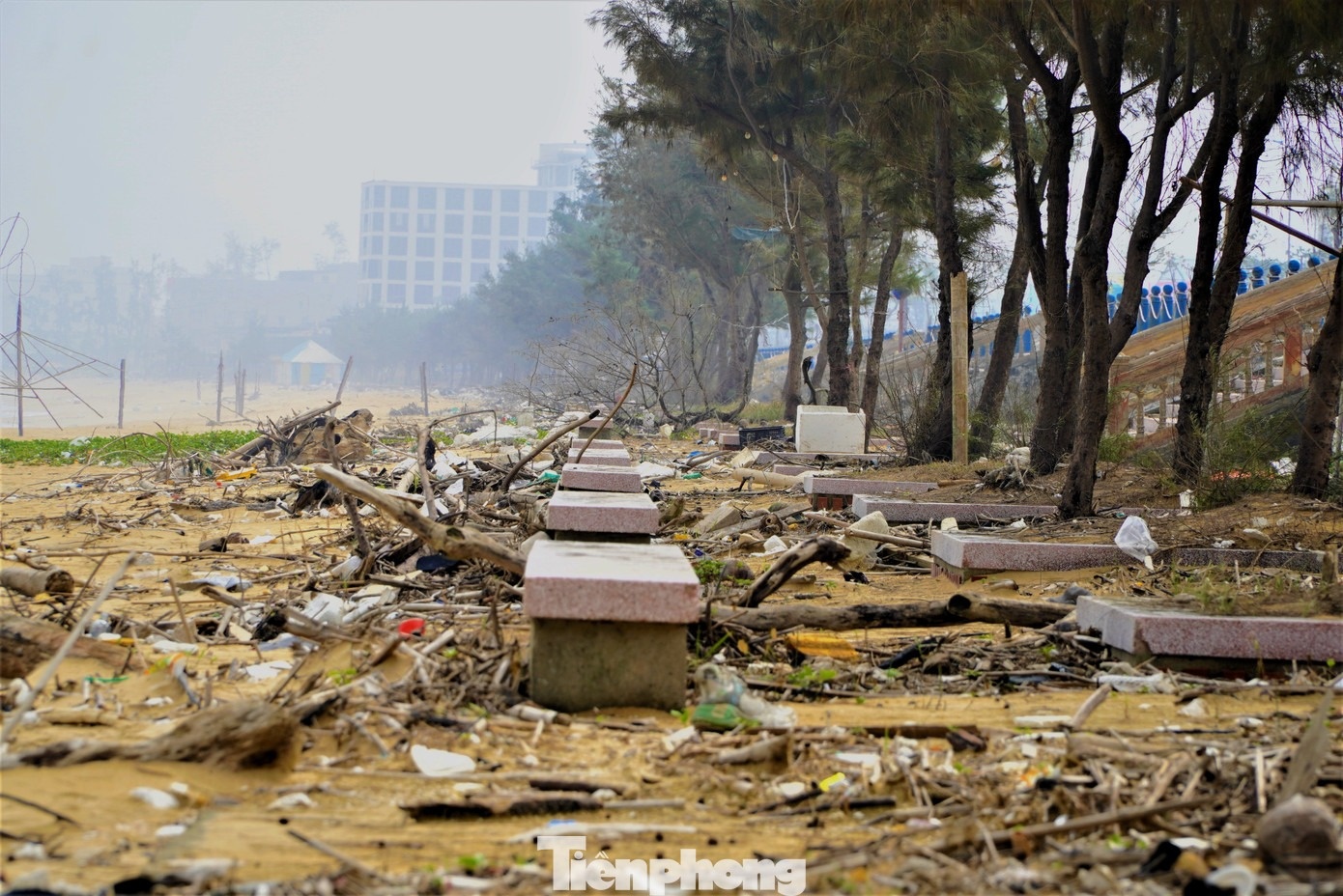 Bien Thien Cam anh 3