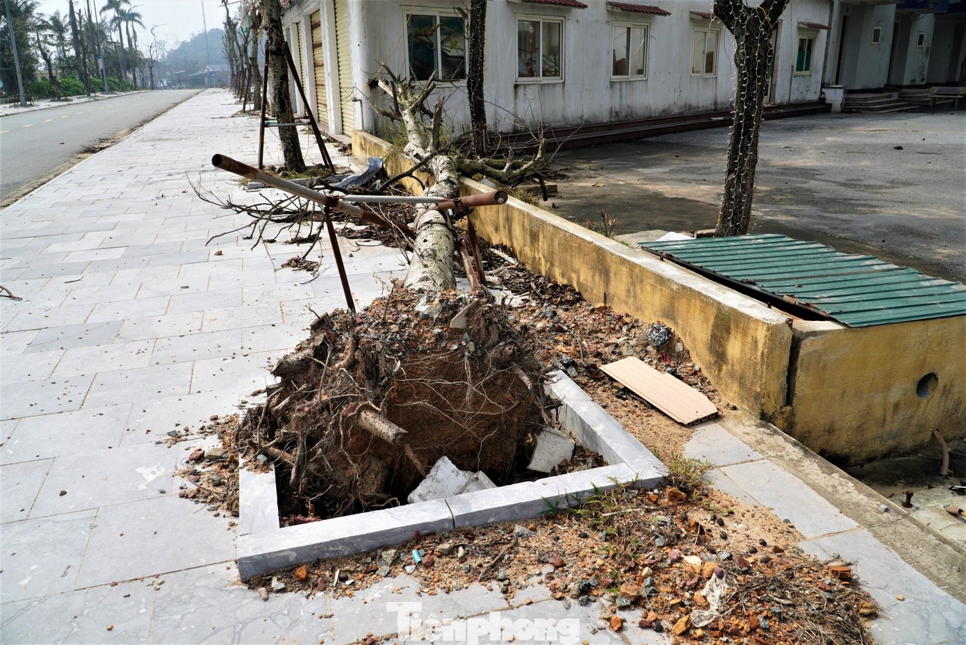 Bien Thien Cam anh 5