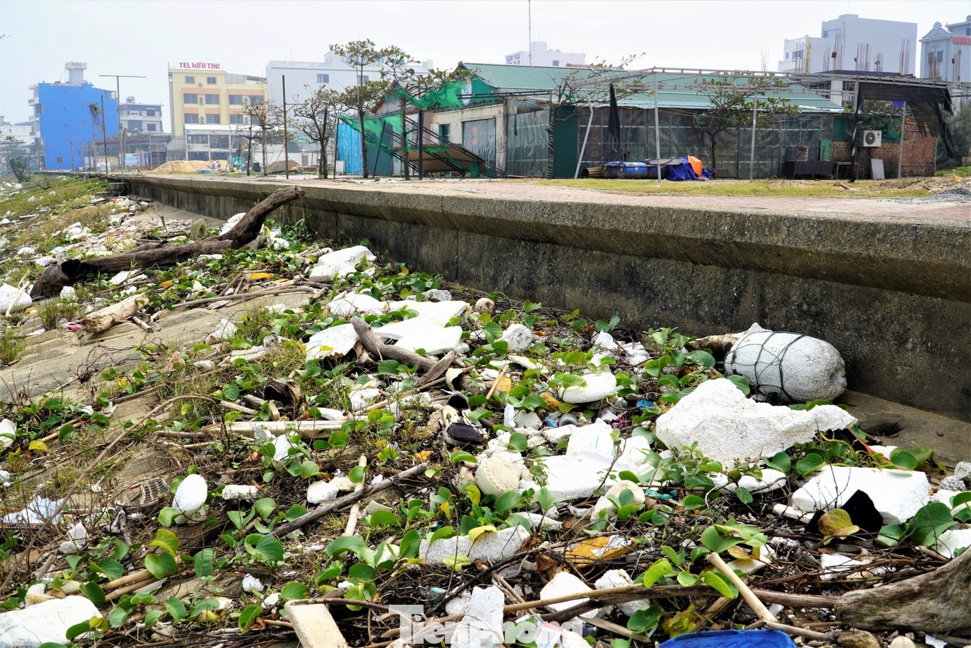 Bien Thien Cam anh 6