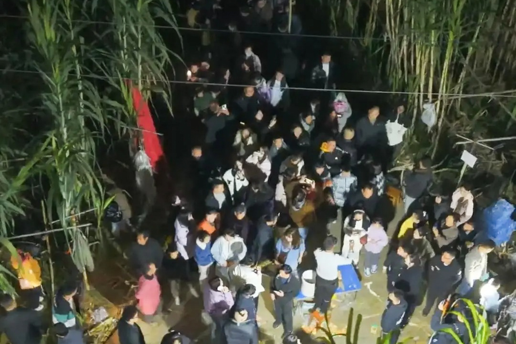 Vuon mia Trung Quoc bung no 'dich vu lam… ke trom' hinh anh