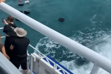 Khach di pha, nhin hanh ly cua minh troi dat tren bien Thai Lan hinh anh