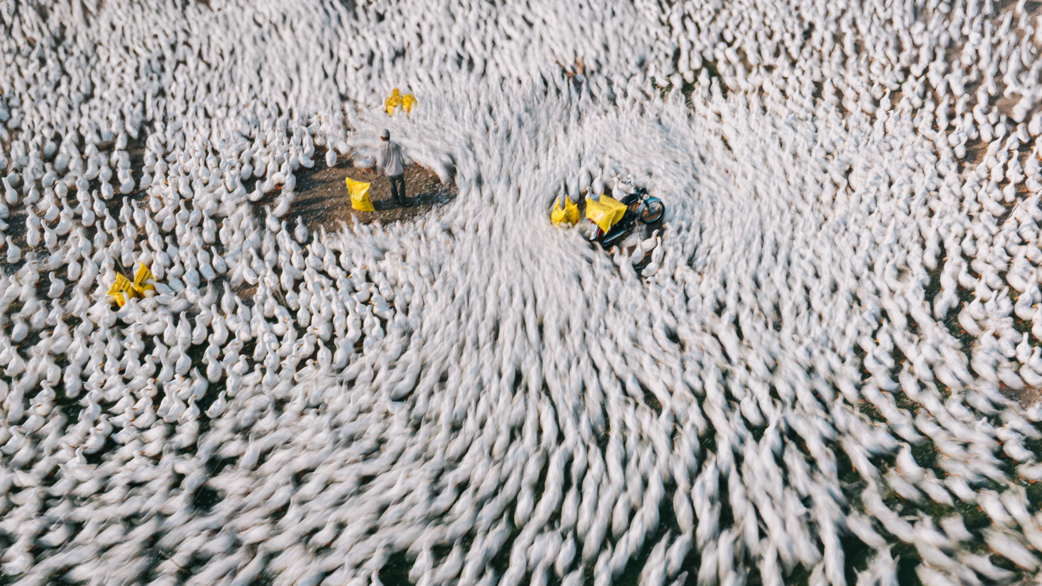 Tay Ninh bilde 3 Tay Ninh anh 3