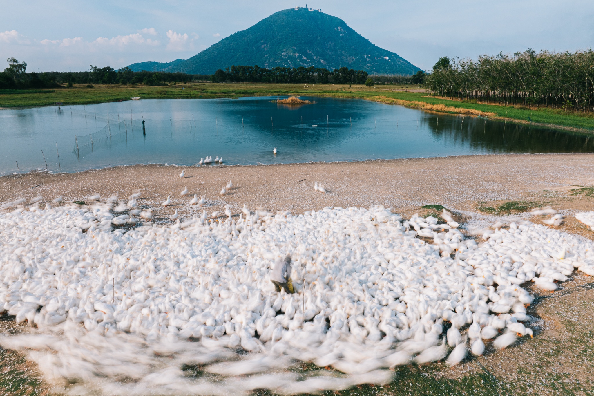 Tay Ninh bilde 1 Tay Ninh anh 1