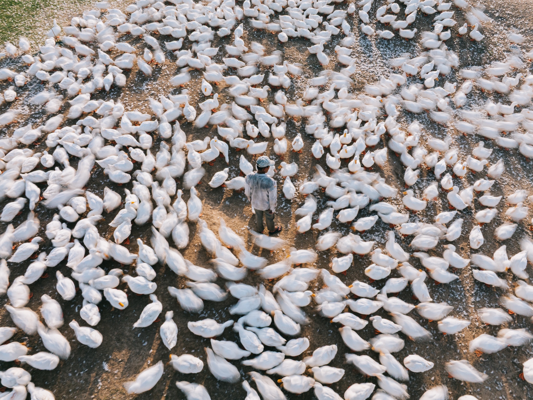 Tay Ninh bilde 8 Tay Ninh anh 8