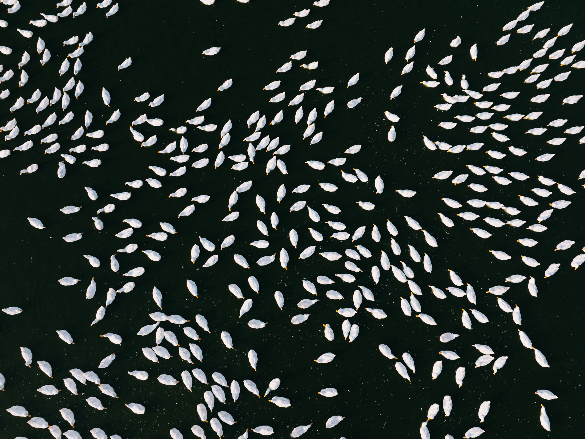 Tay Ninh bilde 9 Tay Ninh anh 9