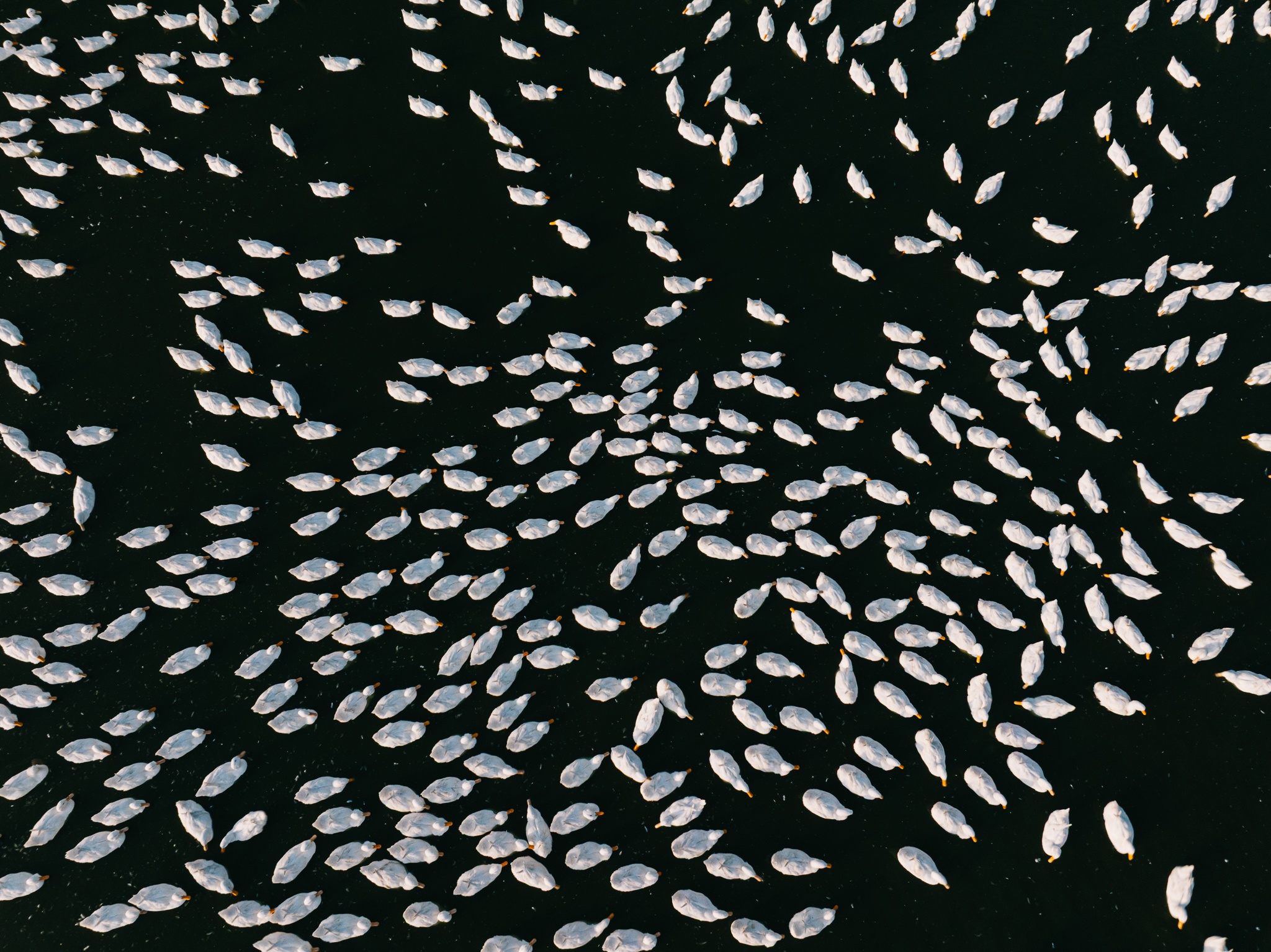 Tay Ninh bilde 10 Tay Ninh anh 10