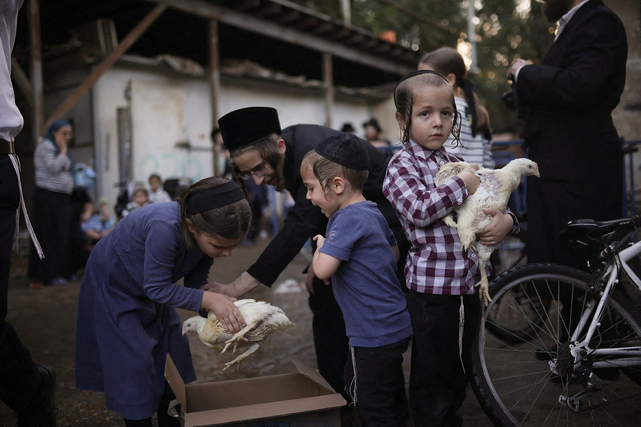 ពិធីបុណ្យរូបថត ៦ Le hoi anh 6