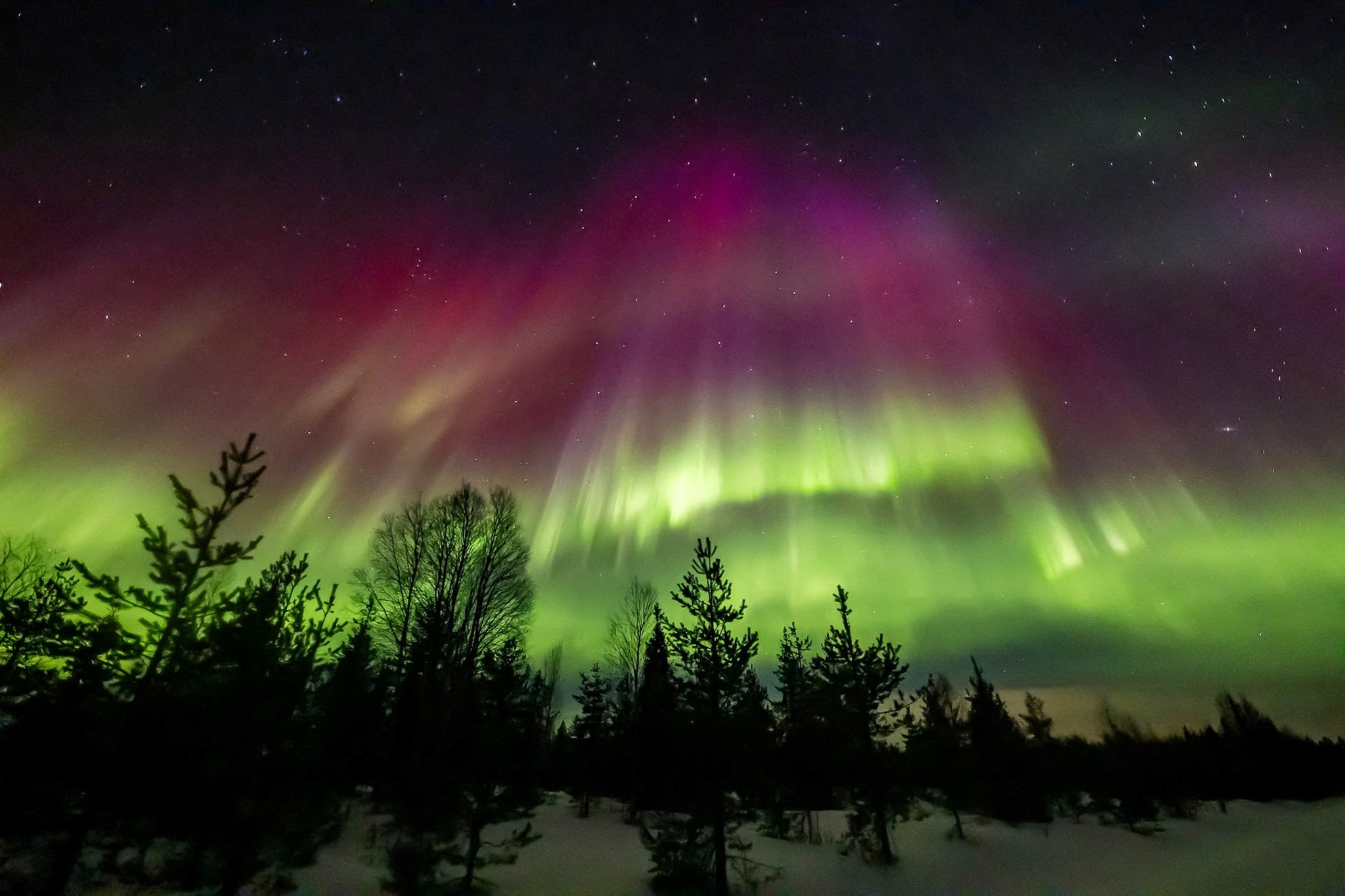 Anh phong canh gay sung sot cua Reuters hinh anh