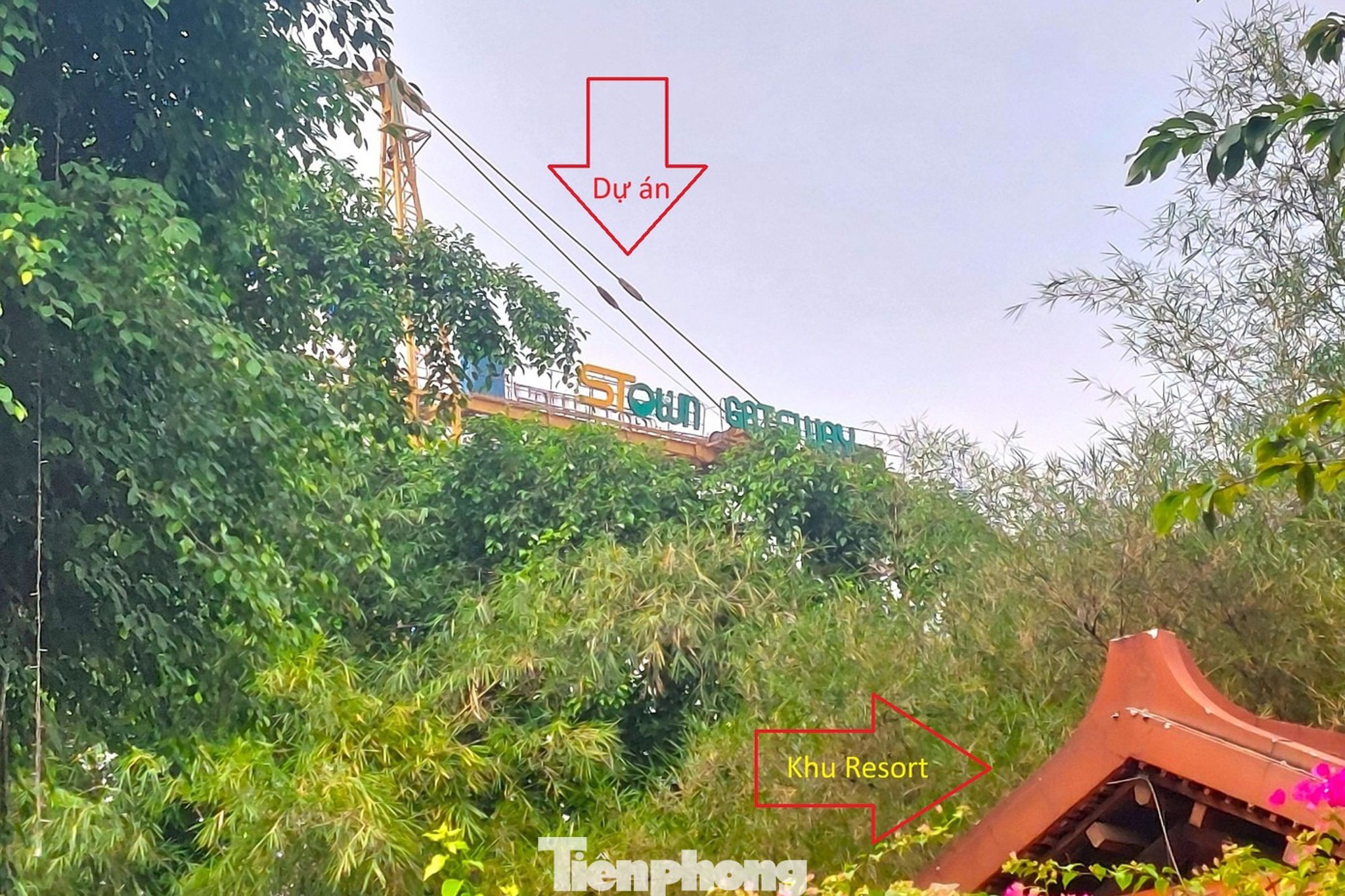 Phong toa villa TP.HCM anh 11