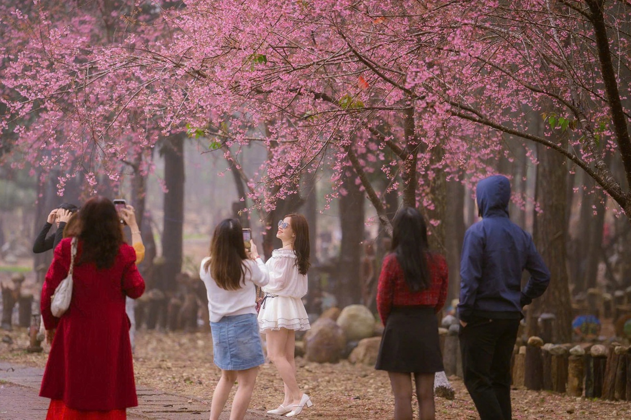 Măng Đen ảnh 9 Mang Den anh 9