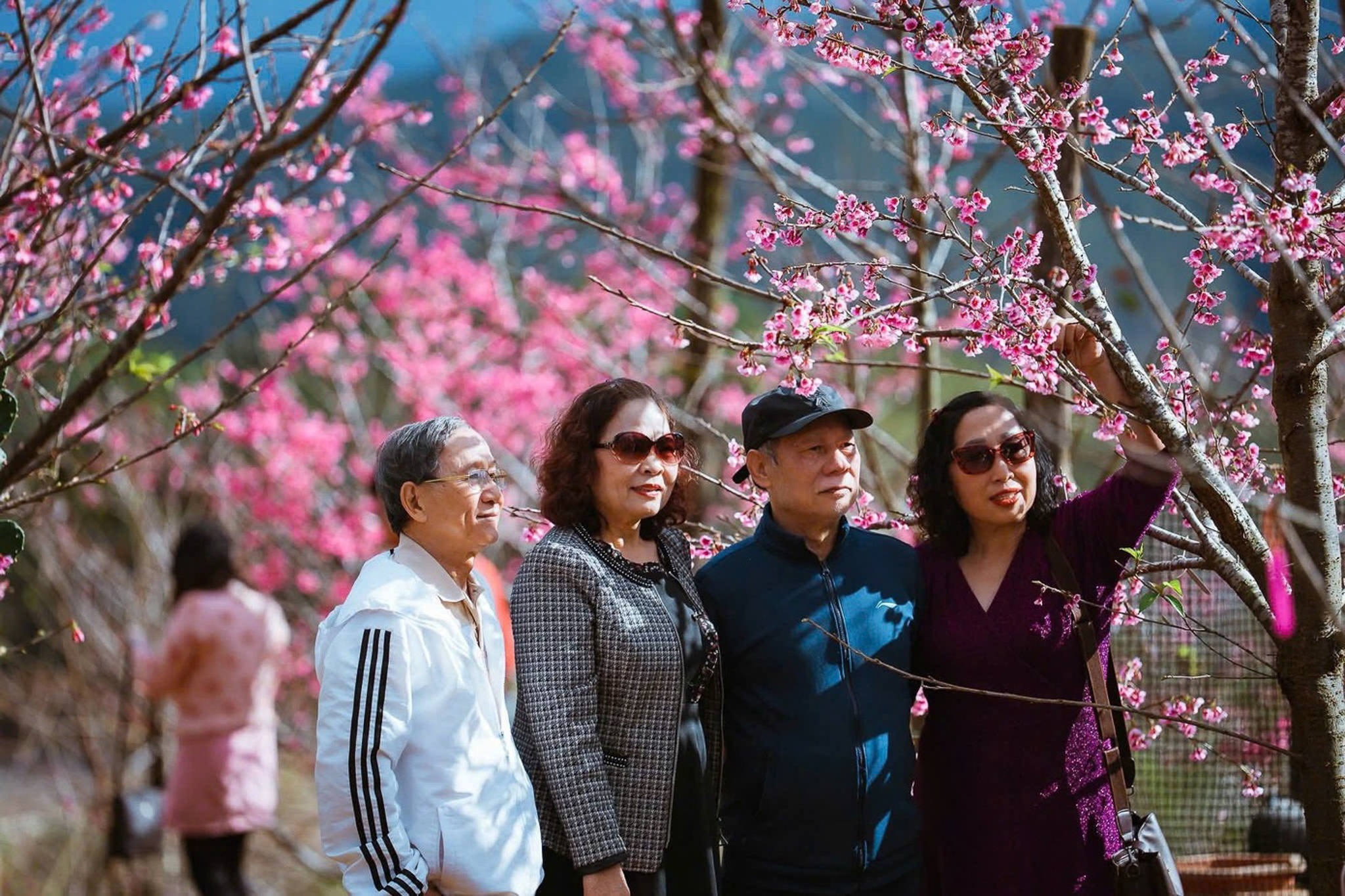 Măng Đen ảnh 10 Mang Den anh 10