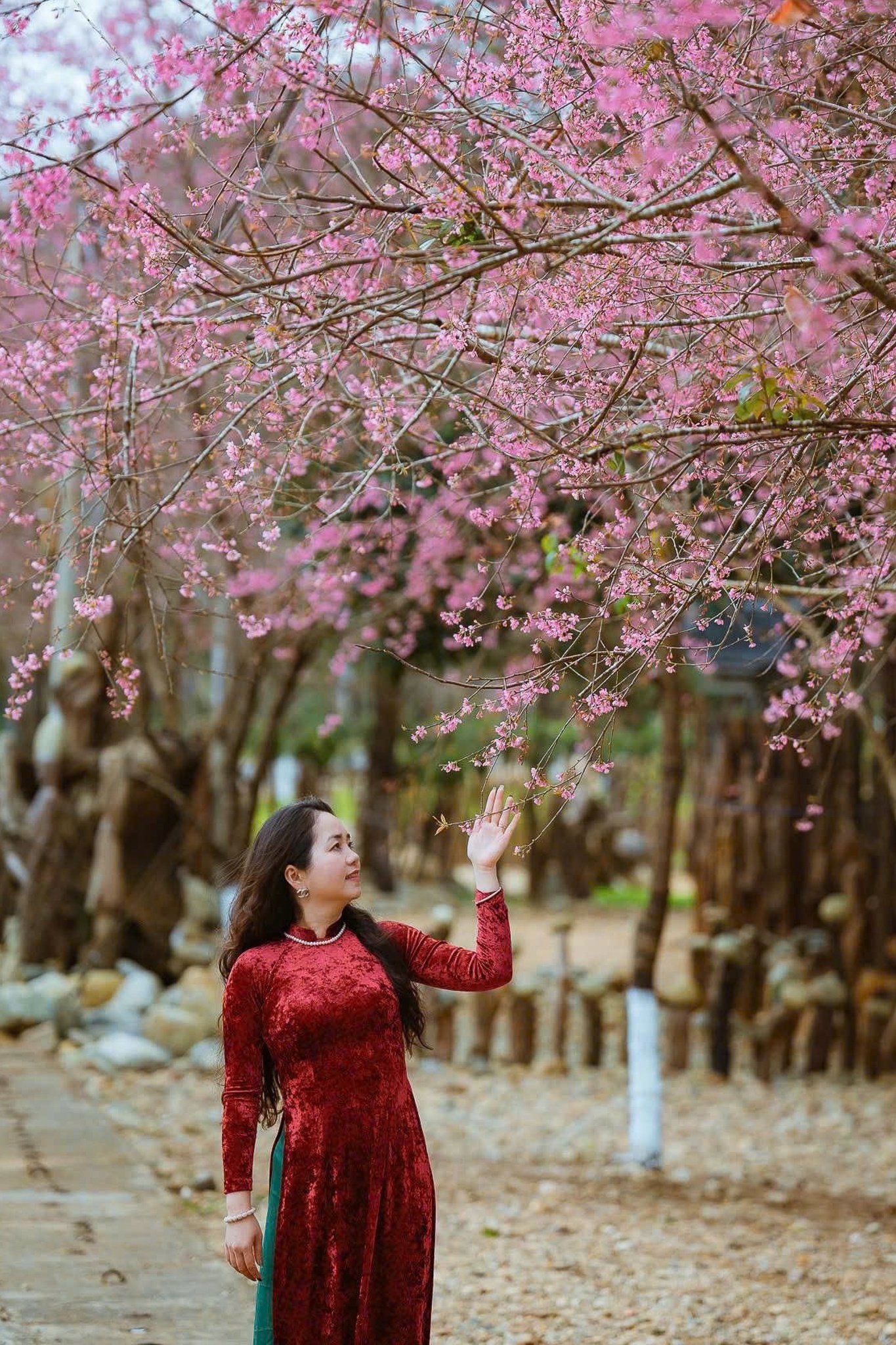 Măng Đen ảnh 16 Mang Den anh 16