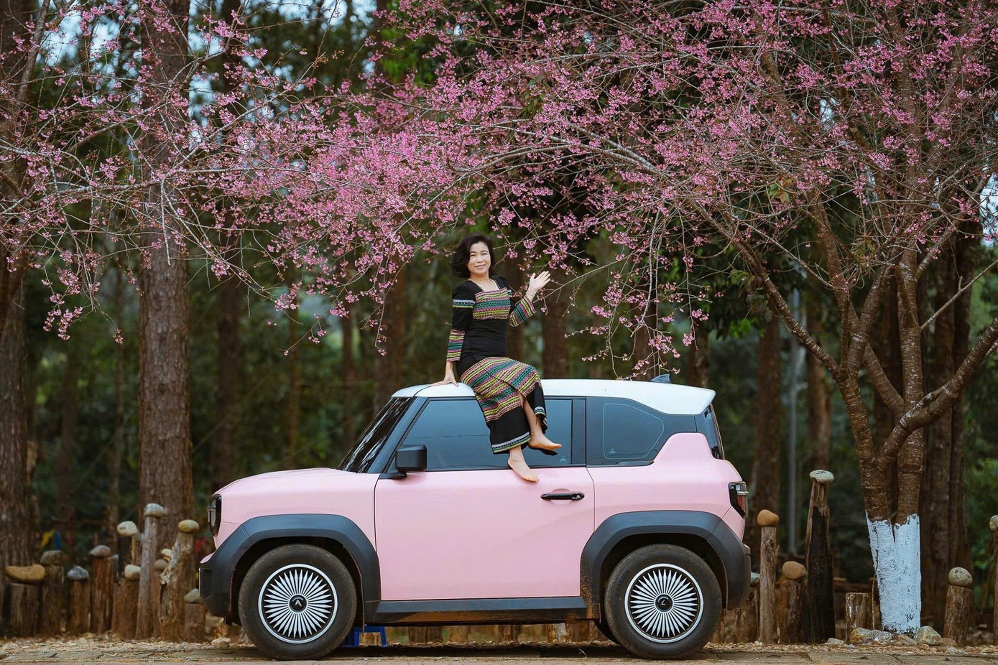 Măng Đen ảnh 5 Mang Den anh 5