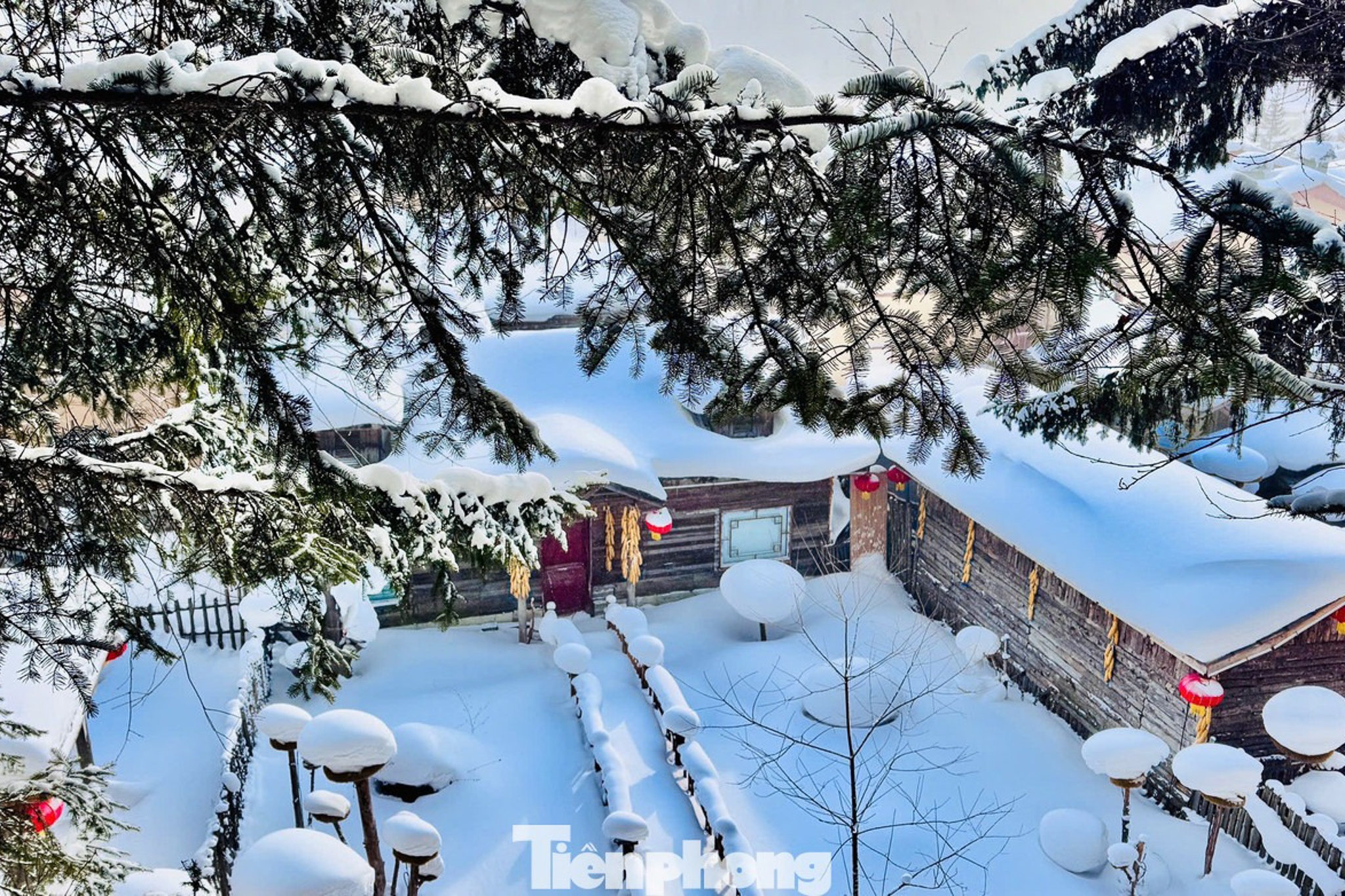 Lang Tuyet Huong anh 3