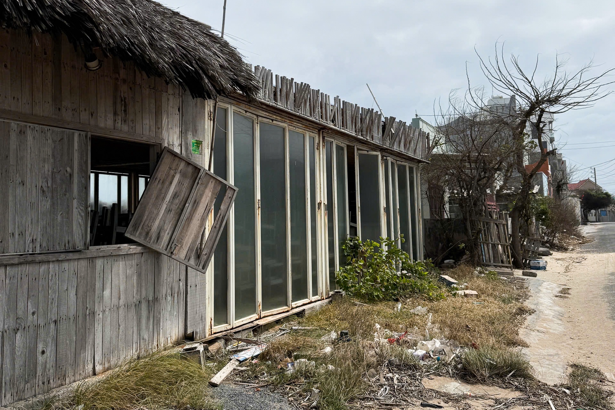 Nha hang, khach san Phu Quy cua bay, cay gay mua gio bac hinh anh