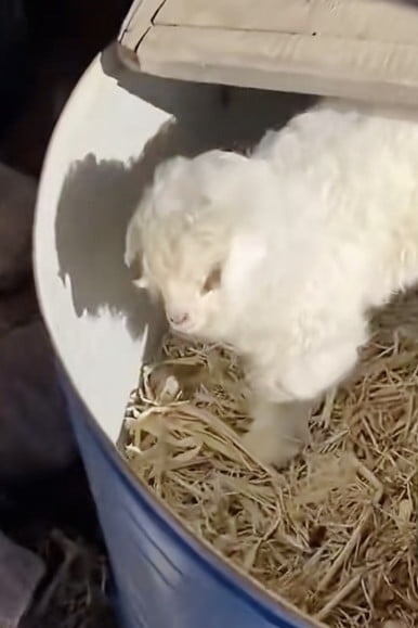 Trung Quốc ảnh 1 Trung Quoc anh 1